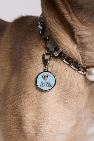 CLOSE UP OF A DOG’S NECK, WEARING NADRI’S PEARL COLLAR WITH THE CLEOPAWTRA BLING BEARER CHARM