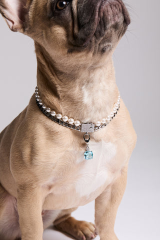 CLOSE UP OF A DOG LOOKING UP, WEARING NADRI’S DOUBLE STRAND COLLAR NECKLACE AND THE CLEOPAWTRA BLUE STONE CHARM