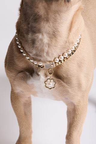 CLOSE UP OF A DOG’S CHEST, WEARING NADRI’S DOUBLE STRAND COLLAR NECKLACE AND THE CLEOPAWTRA PEARL FLOWER CHARM