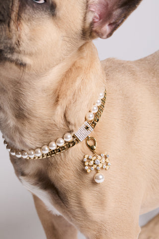CLOSE UP OF A DOG’S NECK WEARING NADRI’S DOUBLE STRAND COLLAR NECKLACE AND THE CLEOPAWTRA BOW DROP CHARM