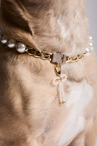 CLOSE UP OF A DOG’S CHEST WEARING NADRI’S PEARL COLLAR AND THE CLEOPAWTRA PEARL BOW CHARM