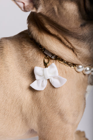 CLOSE UP OF A DOG’S NECK WEARING NADRI’S PEARL COLLAR, WITH THE CLEOPAWTRA WHITE BOW CHARM